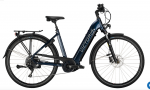 victoria etrekking 12.9 -e-bike
