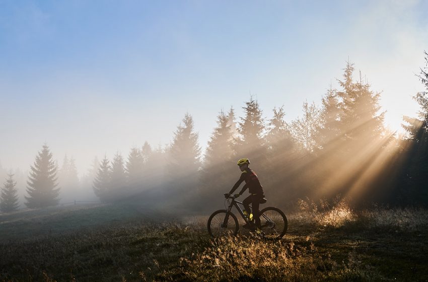 Fietsen voor avonturiers: ontdek onze mountainbikecollectie